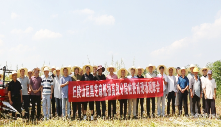 “丘陵山区黑芝麻低损高效分段收获机研制熟化定型及应用“课题推进会暨黑芝麻分段机收观摩培训会在鄱阳召开